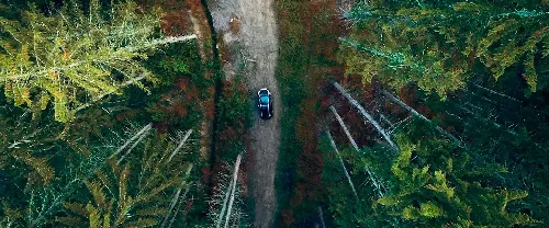 林荫路825号