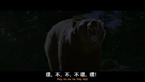 巨熊之夜
