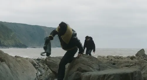 袒露