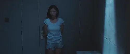 坏鸟