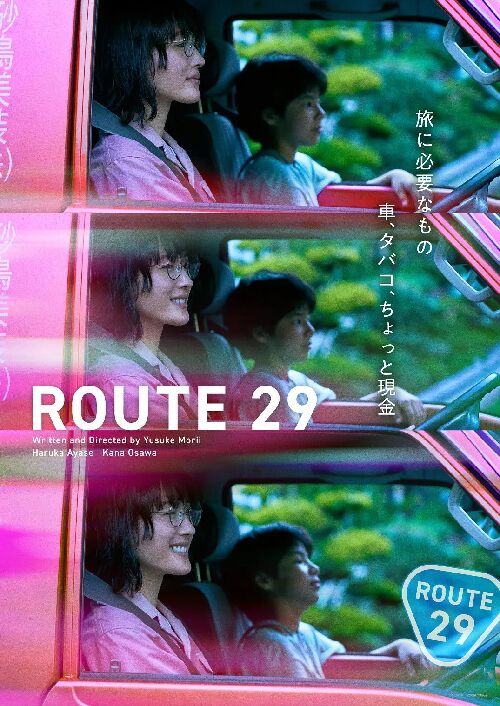 国道29号
