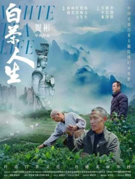 白茶人生