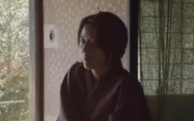《喂，应为》中字预告