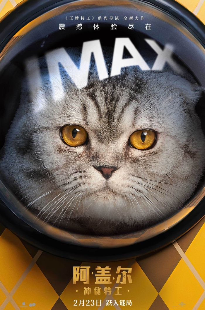 《阿盖尔：神秘特工》曝IMAX专属海报