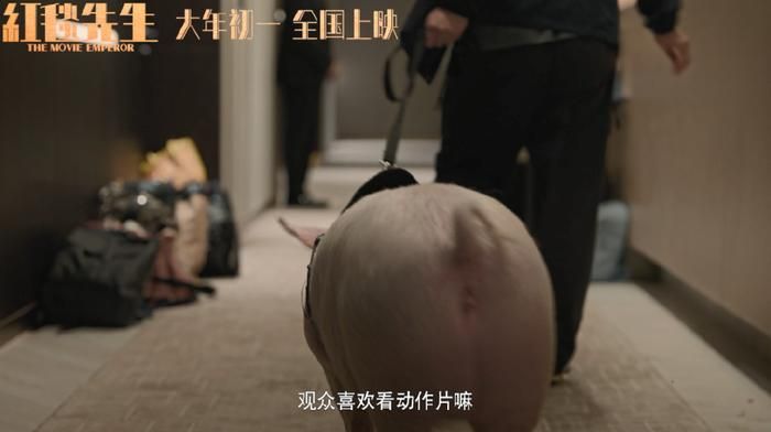 电影《红毯先生》曝“天王变形计”版预告，刘德华农村体验荒诞上演