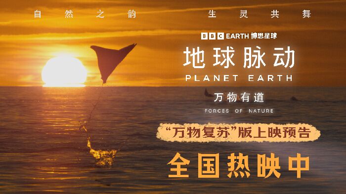 电影《地球脉动：万物有道》曝终极预告，与万物同行回归本真。