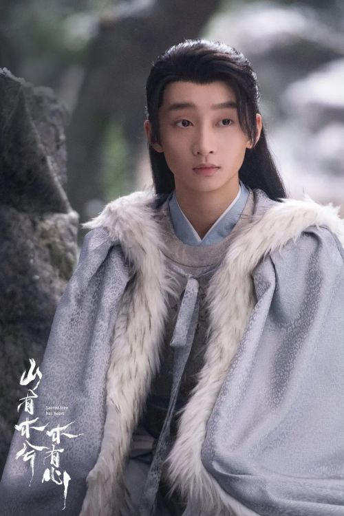 山有木兮木有心