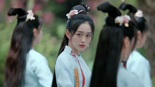 岁岁青莲