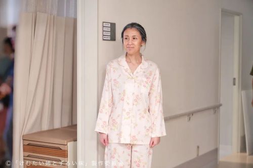 呛人姐与心机妹 けむたい姉とずるい妹
