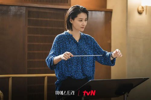大指挥家: 弦上的真相