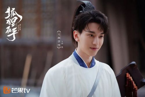 狐狸在手