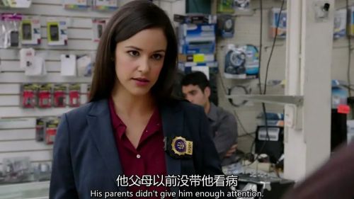 神烦警探 第一季