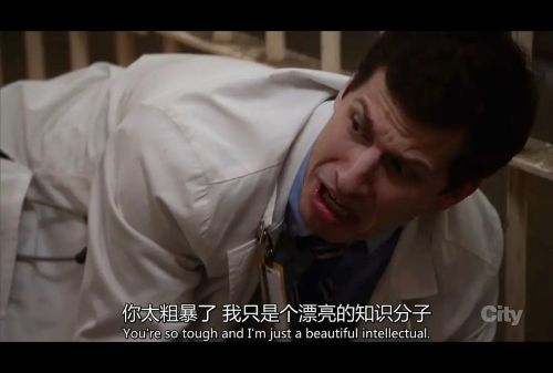 神烦警探 第三季