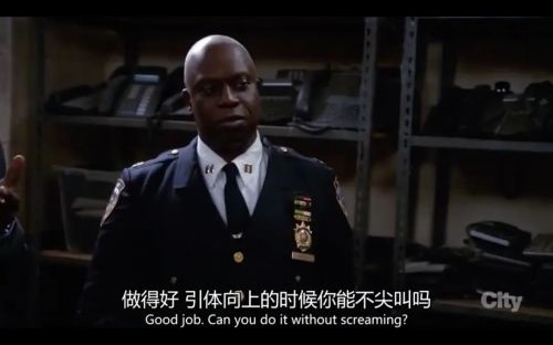 神烦警探 第三季