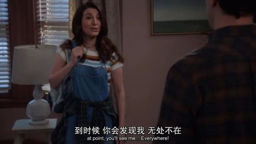 神烦警探 第五季