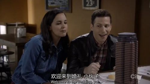 神烦警探 第五季