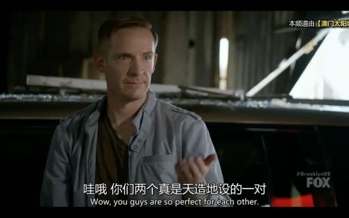 神烦警探 第五季