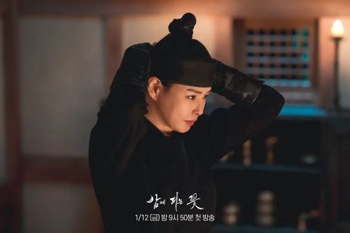 夜晚开的花