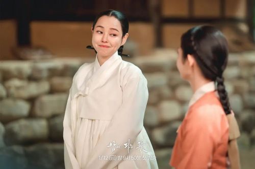 夜晚开的花