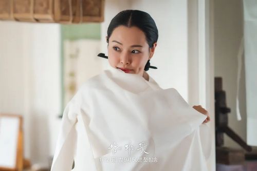 夜晚开的花