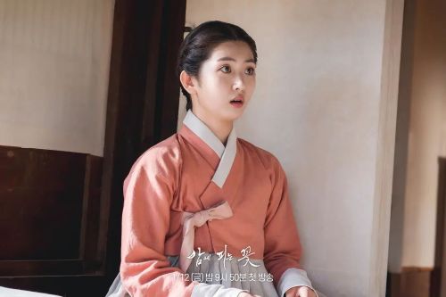 夜晚开的花