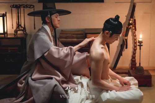 夜晚开的花