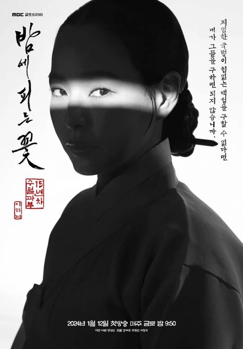 夜晚开的花