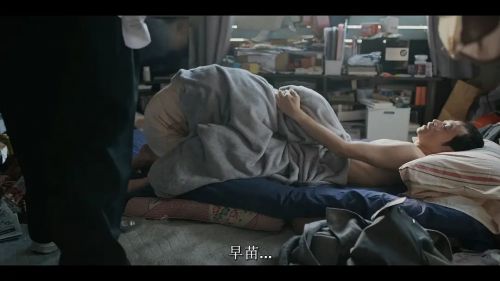 相扑避难所