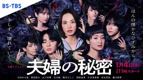 夫妇的秘密 夫婦の秘密