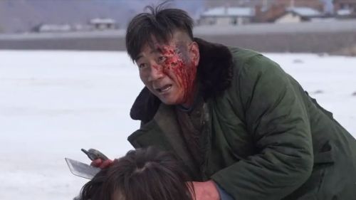 黑土无言