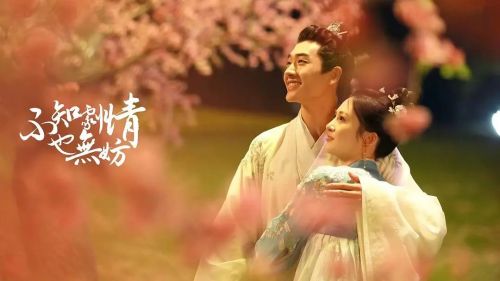 不知剧情也无妨