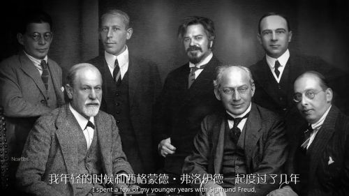吸血鬼生活 第四季