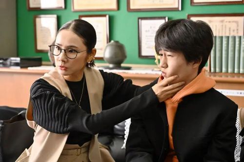 不合适也要有个限度！ 不適切にもほどがある！