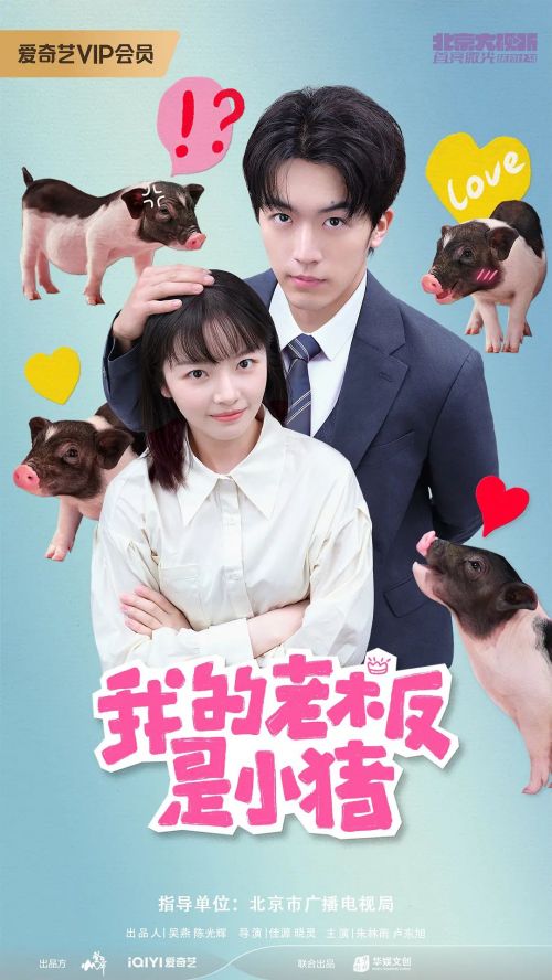 我的老板是小猪