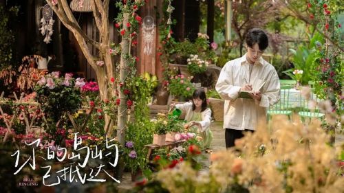 你的岛屿已抵达