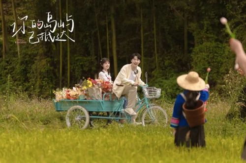 你的岛屿已抵达