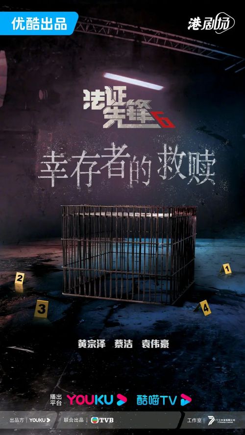 法证先锋6 法證先鋒VI