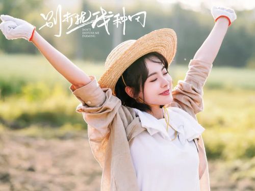 别打扰我种田