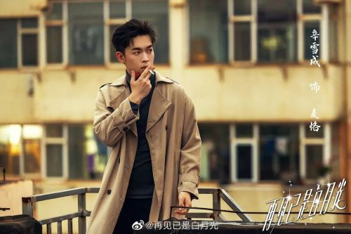 再见已是白月光