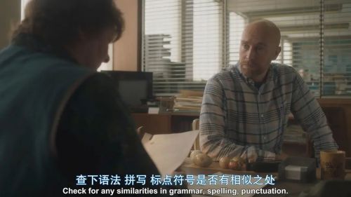 探长薇拉 第十三季