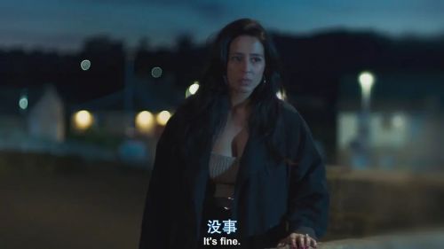 探长薇拉 第十三季