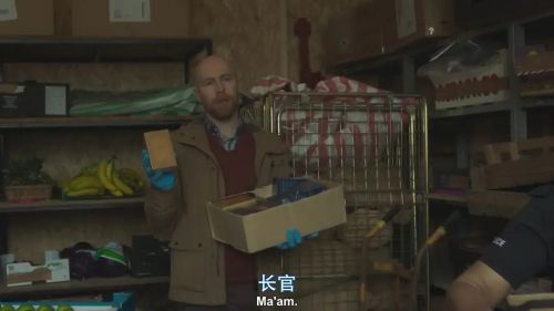 探长薇拉 第十三季