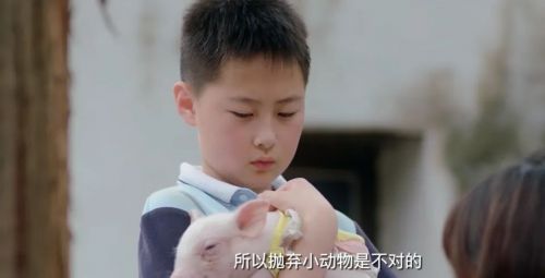 我的萌宠恋人