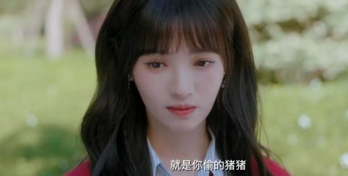 我的萌宠恋人