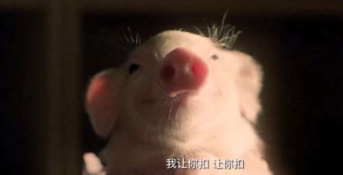 我的萌宠恋人