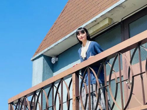 搬家侦探小樱 引越し探偵サクラ