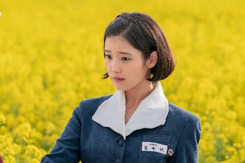 苦尽柑来遇见你