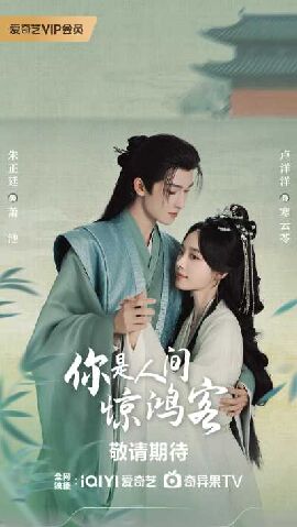 你是人间惊鸿客