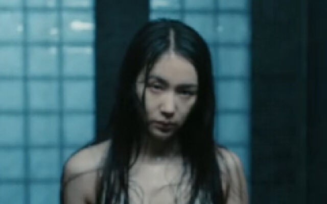 目之所及