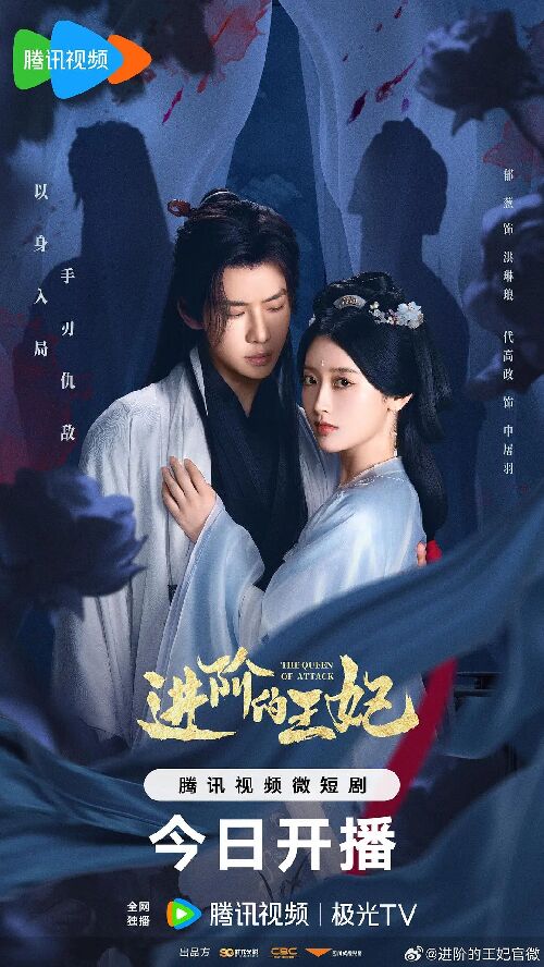 进阶的王妃